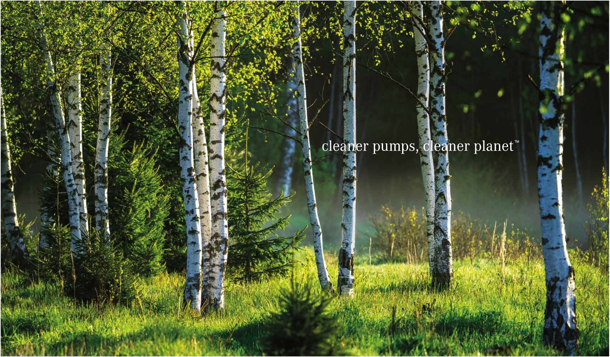 Wandbild mit Birkenwald und dem Claim cleaner pumps, cleaner planet